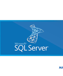 Phần mềm Microsoft SQL SQLCAL 2019 SNGL OLP NL UsrCAL (359-06866)  - CH