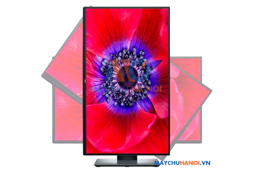 Màn hình máy tính Dell UltraSharp U2520D 25 inch 2K