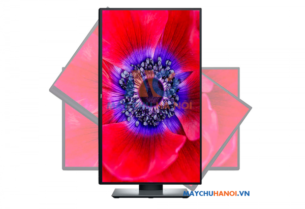 Màn hình máy tính Dell UltraSharp U2520D 25 inch 2K