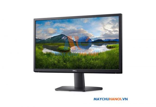 Màn hình máy tính DELL SE2222H 21.5 inch