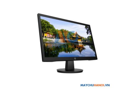 Màn hình máy tính HP V22v 21.5 inch