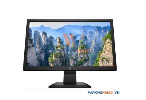 Màn hình máy tính HP V20 1H849AA 19.5