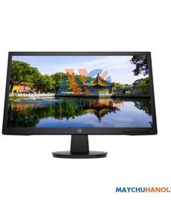 Màn hình máy tính HP V22v 21.5 inch