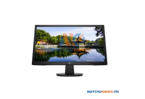Màn hình máy tính HP V22v 21.5 inch