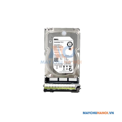 Ổ cứng Dell 4TB 7.2K RPM SATA 3.5 inch Hot-Plug Hard Drive,13G,CusKit ( 400-AEGK )