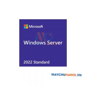 Phần mềm Windows Server Standard 2022 64Bit English 1pk DSP OEI DVD _P73-08328 - N