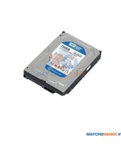 Ổ Cứng HDD Western Digital Purple 3TB 3.5inch SATA3 64MB Cache IntelliPower WD30PURZ