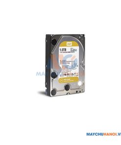 Ổ Cứng HDD Western 1TB Enterprise Gold Datacenter 3.5inch 7200 RPM SATA 6Gb/S 128MB Cache WD1005FBYZ