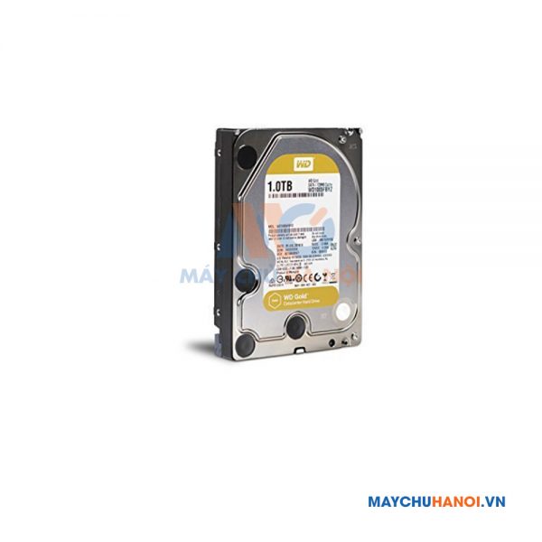 Ổ Cứng HDD Western 1TB Enterprise Gold Datacenter 3.5inch 7200 RPM SATA 6Gb/S 128MB Cache WD1005FBYZ