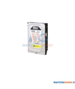 Ổ cứng HDD 250GB Western RE4 Enterprise SATA 3Gb/S 7200RPM 64MB 3.5inch WD2503ABYX