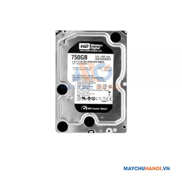 Ổ cứng HDD WD Caviar Black 750GB SATA 6.0Gb/S 7200RPM 64 MB 3.5 WD7502AAEX