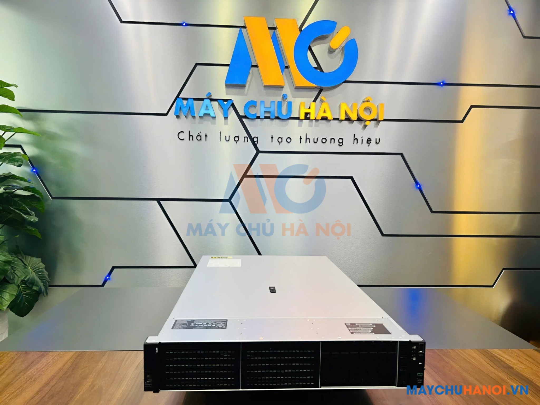 [Review] Máy Chủ HPE ProLiant DL380 Gen11 8SFF