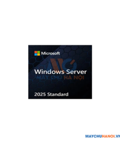 Windows Svr Std 2025 64Bit English 1pk DSP OEI DVD 16 Core (P73-08538) - N