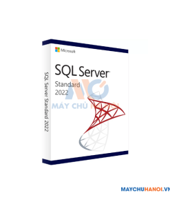 Phần mềm Microsoft SQL Server 2022 Standard Edition - N