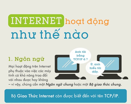 Infographic Internet hoạt động như thế nào?