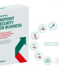 Kaspersky Endpoint Security for Business Select (Base) - 10 PCS