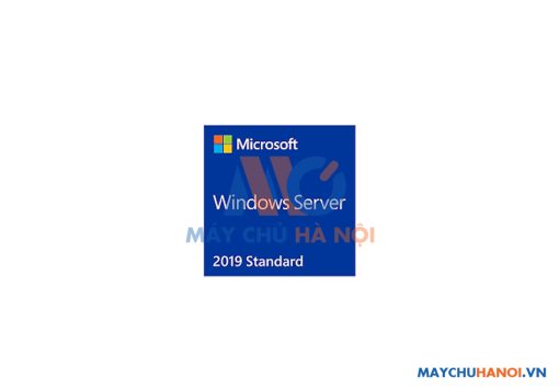 Windows Svr Std 2019 64Bit English 1pk DSP OEI DVD 16 Core - N