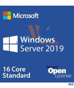 Phần mềm Windows Server Standard 2019 64Bit English 1pk DSP OEI DVD 16 Core (P73-07788)
