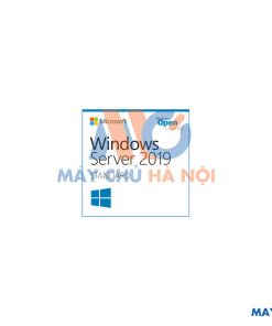 Windows Svr Std 2019 64Bit English 1pk DSP OEI DVD 16 Core